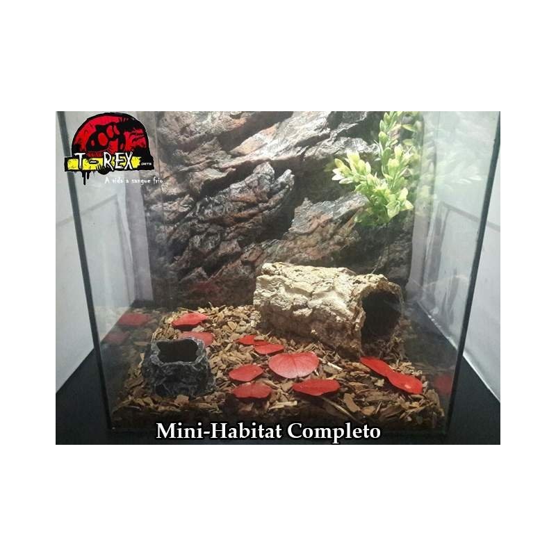 Mini-Habitat Floresta