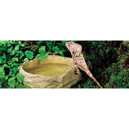 Water Dish