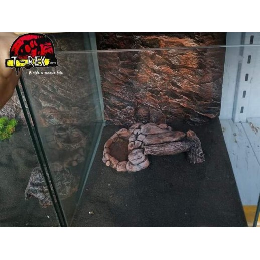 Terrário  |Leopard Gecko | Pogona Baby | Aranhas | Répteis 
