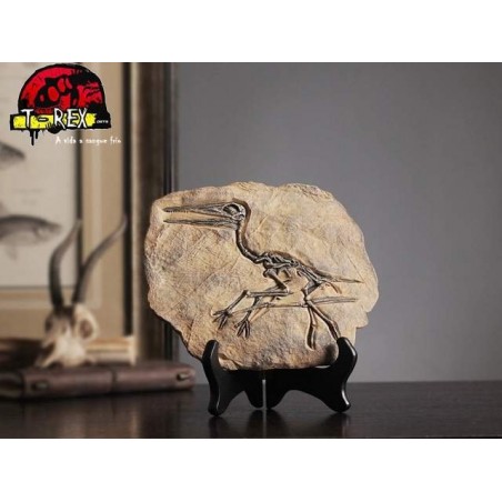 Fóssil Dinossauro - Jurassic Park - Réplica Dinossauro