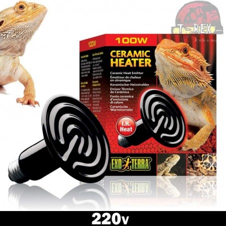 Lampada para aquecer terrario jabuti