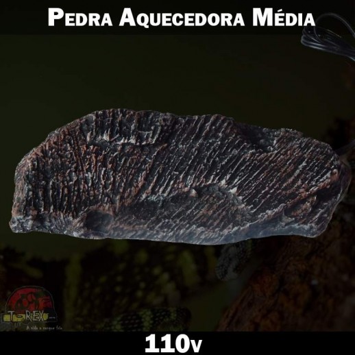Pedra Aquecedora Répteis