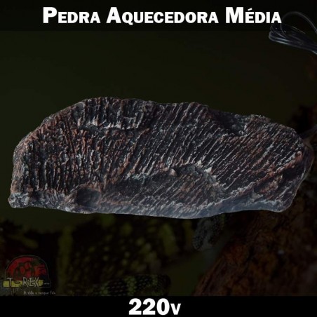 Pedra Aquecida Terrário