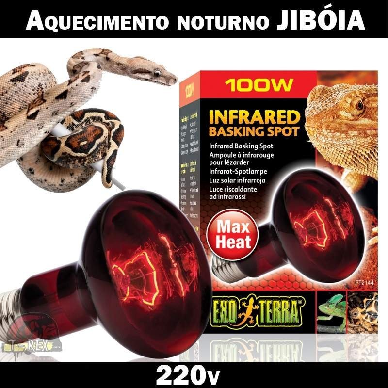 Lâmpada aquecer jibóia