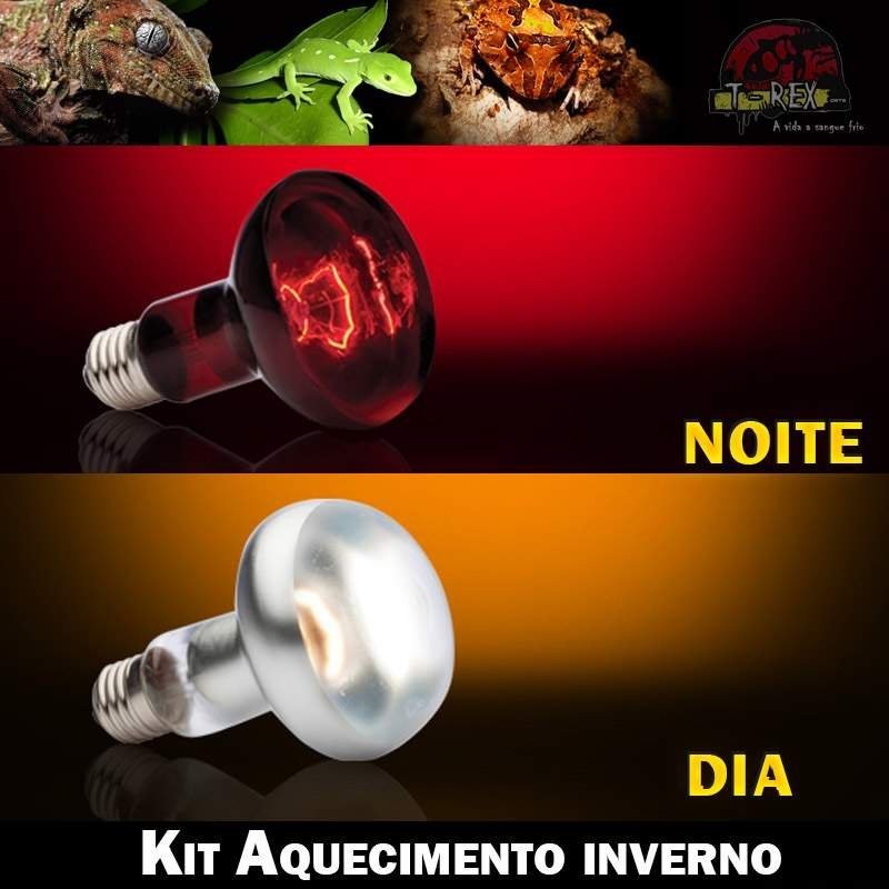lampada aquecer terrario iguana pogona