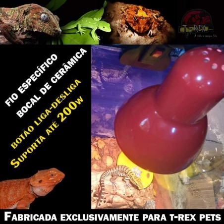 lampada para teiu