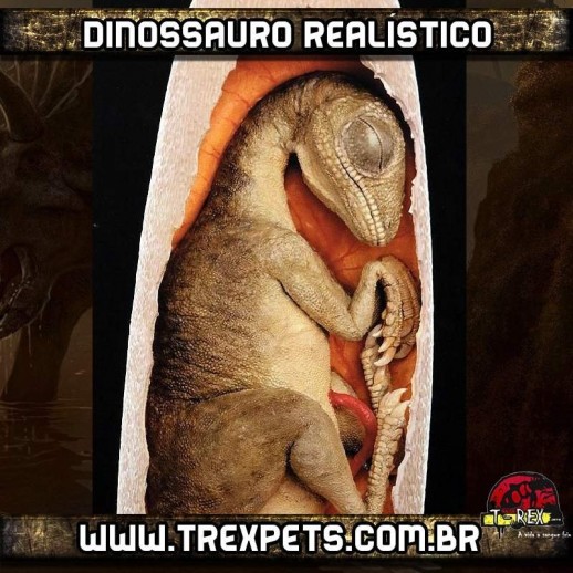replicas de dinossauro