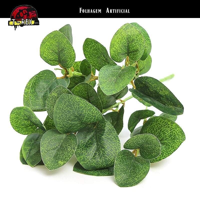 planta para terrário exoterra