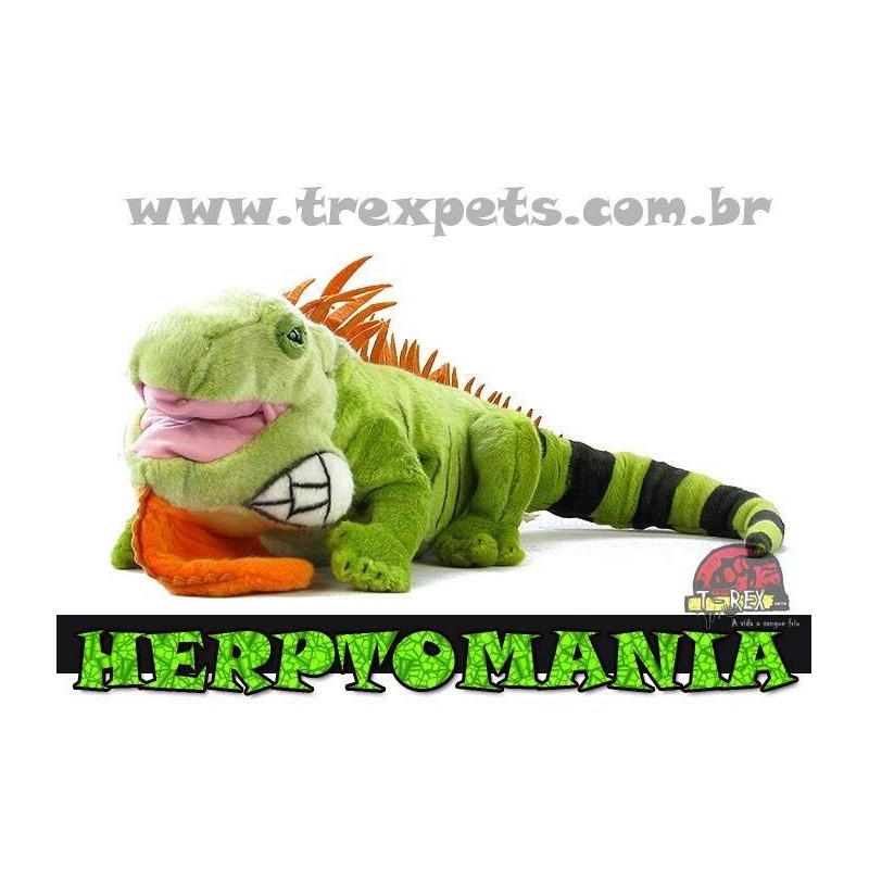 Iguana de Pelúcia G