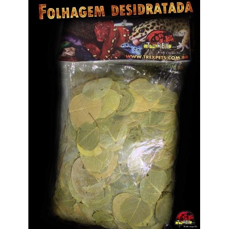 Folhagem Desidratada 