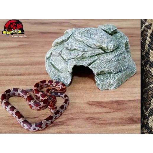 Toca pequena para Répteis TP-01 Terrário | Corn Snake