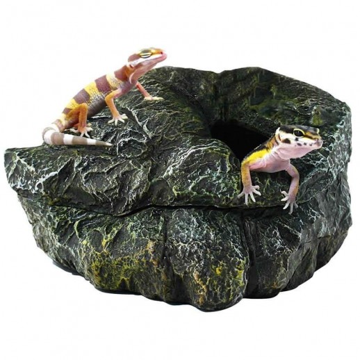Toca para terrário de Répteis