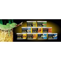 Produtos para saguis - encontre tudo o que você precisa para cuidar do seu pet!