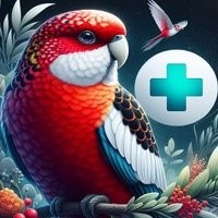 Umidificador para Aves - Mantenha seus Pássaros Saudáveis e Confortáveis