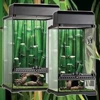 Terrários para répteis - o lar perfeito para o seu animal de estimação